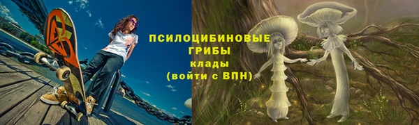 PSILOCYBIN Аркадак